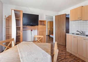 Enticing Apartment in Sandl near Skiing Area