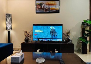 Entire 1 BR Apartment: Netflix, Youtube.