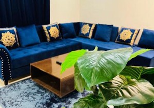 Entire 1 BR Apartment: Netflix, Youtube.