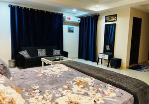 Entire 1 BR Apartment: Netflix, Youtube.