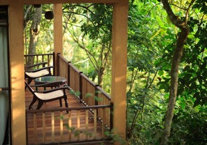 Epic Jungle Village