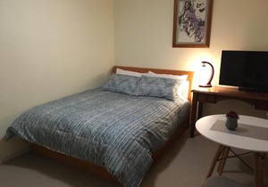 Epsom-Auckland centre
