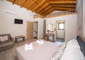 Erikousa Palace Double Suite 18