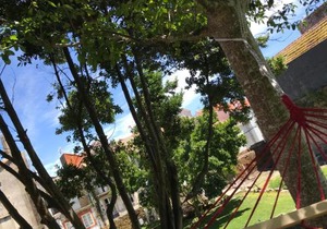 Estudio Outon 1 Muros