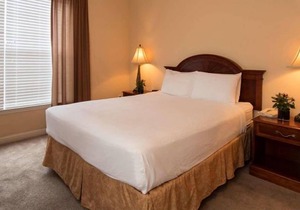 Everything You Need For The Perfect Vacation! Free Parking, Pets Allowed, Pool