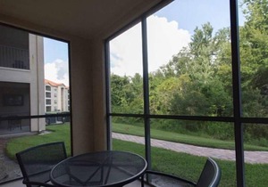 Everything You Need For The Perfect Vacation! Free Parking, Pets Allowed, Pool
