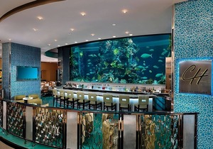 Exciting Entertainment Right On-site! 2 Pools, Shopping!