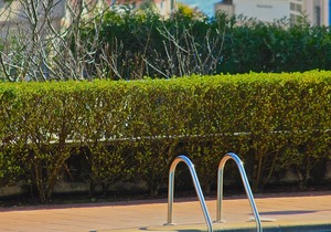 Exclusive apartment in Sanxenxo with swimming pool 100 m from Silgar beach,