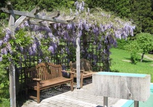 Exclusive country house with holiday apartments with dream garden and idyllic tranquility