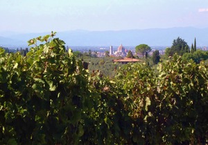 Exclusive resort suite on the hills of Florence
