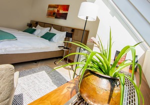 Exclusively furnished apartments - free WIFI and air conditioning at Schönbrunn
