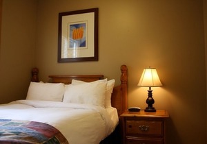 Executive Mountain Chalet