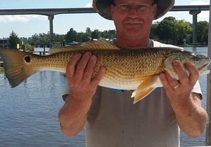Experience living on a Houseboat and a fisherman's delight!