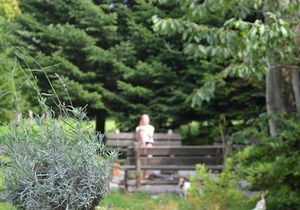 - Experience the country and be happy in the north of Hamburg - Whg. Nordmann fir