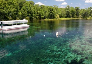 Explore Local Museums! 2 Classy Units, Pool, Near Museum of Florida History