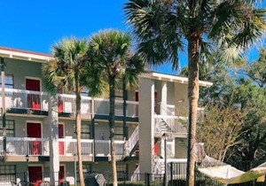 Explore Local Museums! 2 Classy Units, Pool, Near Museum of Florida History
