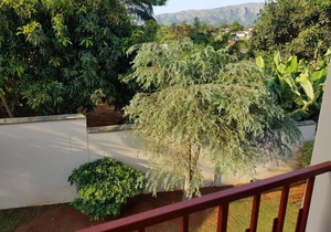 Ezulwini Guest House Apartment