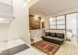 FABULOUS APARTMENT IN ANTON MARTIN
