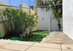 Family Apartment Ammoudi with shared mini-pool