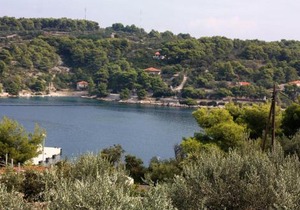 Family-friendly apartments with swimming pool Rogac, Solta - 5183