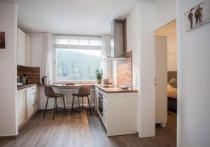 Fantastic Apartment in Winterberg
