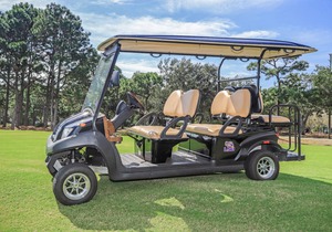 Fantastic location lake views and a golf cart!