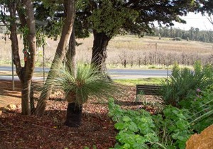 Farview Guest Accommodation