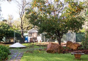Farview Guest Accommodation