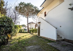 FeHaus-Pino-1