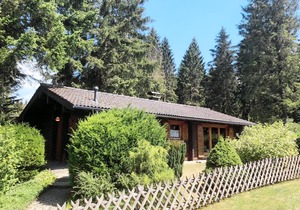 Ferienpark am Waldsee 2 - Haustierfrei