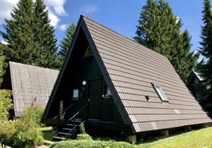 Ferienpark am Waldsee 1 - Haustierfrei