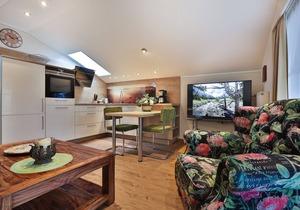 Ferienwohnung Nr. 4, mit Balkon und Bergblick, 48 qm