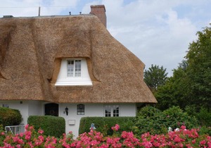 Ferien Domizil Benendikenwai 5