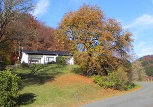 Ferienbungalow Willingen-Winterberg