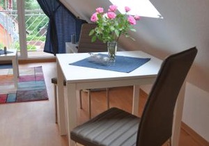 Ferienhaus Müritzzauber/1 Zimmer Dachgeschoss-Appartement