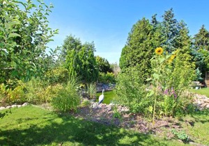 Ferienhaus Malchow SEE 3541