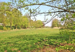 Ferienhaus Malchow SEE 5081