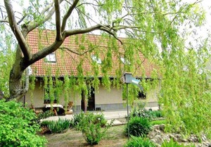 Ferienhaus Rechlin SEE 4121