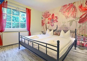 Ferienhaus Zirchow 2