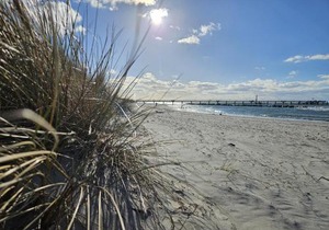 Ferienhaussiedlung Strandperlen Buchenhof 2c (Typ II)