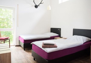 Ferienhof - Weites - Land, large apartment with terrace, garden and children's playground