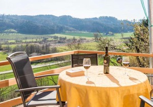 Ferienparadies Bodensee Fewo2