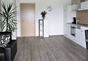 Ferienwohnung Panorama, 55 qm, 1 Schlafraum, max. 3 Personen