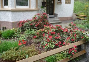 Ferienwohnung 1 mit 68qm, 1 Schlafzimmer, 1 Wohn-/Schlafraum, für maximal 4 Personen