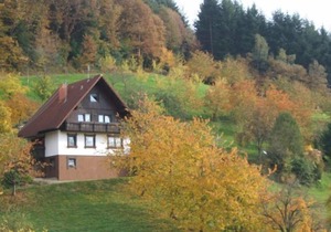 Ferienwohnung 2, 50qm, 1 Schlafzimmer, max. 4 Personen