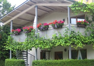 Ferienwohnung 2, 55 qm, 2 Schlafzimmer, max. 5 Personen