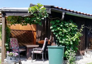 Ferienwohnung (42qm) Obergeschoß,1 Schlafzimmer, 1 Wohnzimmer, Küche extra, WLAN, max. 4 Personen
