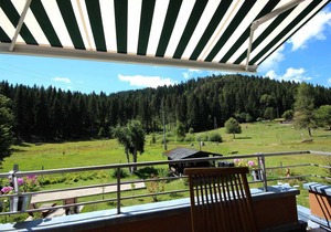 Ferienwohnung 5 Buche, 50qm, 1 Schlafzimmer, max. 3 Personen