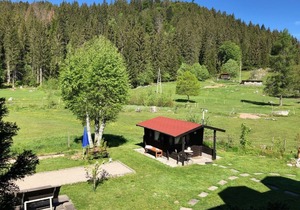 Ferienwohnung 6 Fichte, 35qm, 1 Schlafzimmer, max. 2 Personen