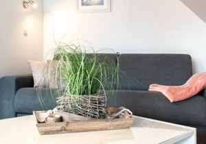 Ferienwohnung Sommerwind